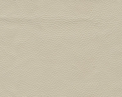 Rackingburg Power Recliner