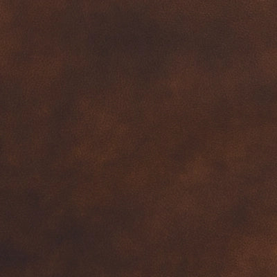 Catanzaro Dual Power Leather Recliner