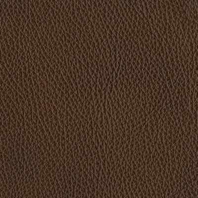 The Man-Den Triple Power Leather Recliner