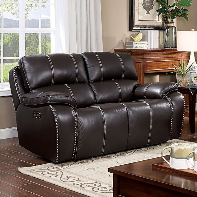 Furniture of America EPPI POWER LOVE SEAT USB Port on Control Panel, Plush Arms and Back & Individual Nailheads