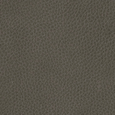 Card Player Dual Power Recliner