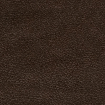 Shadowboxer Power Lift Recliner