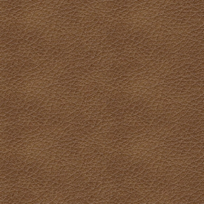 Bolsena Manual Leather Recliner