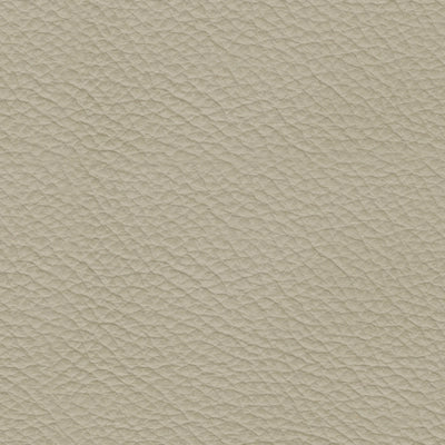 Strikefirst Power Leather Recliner