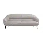 ACME  Leonia Leather Upholstery Loveseat