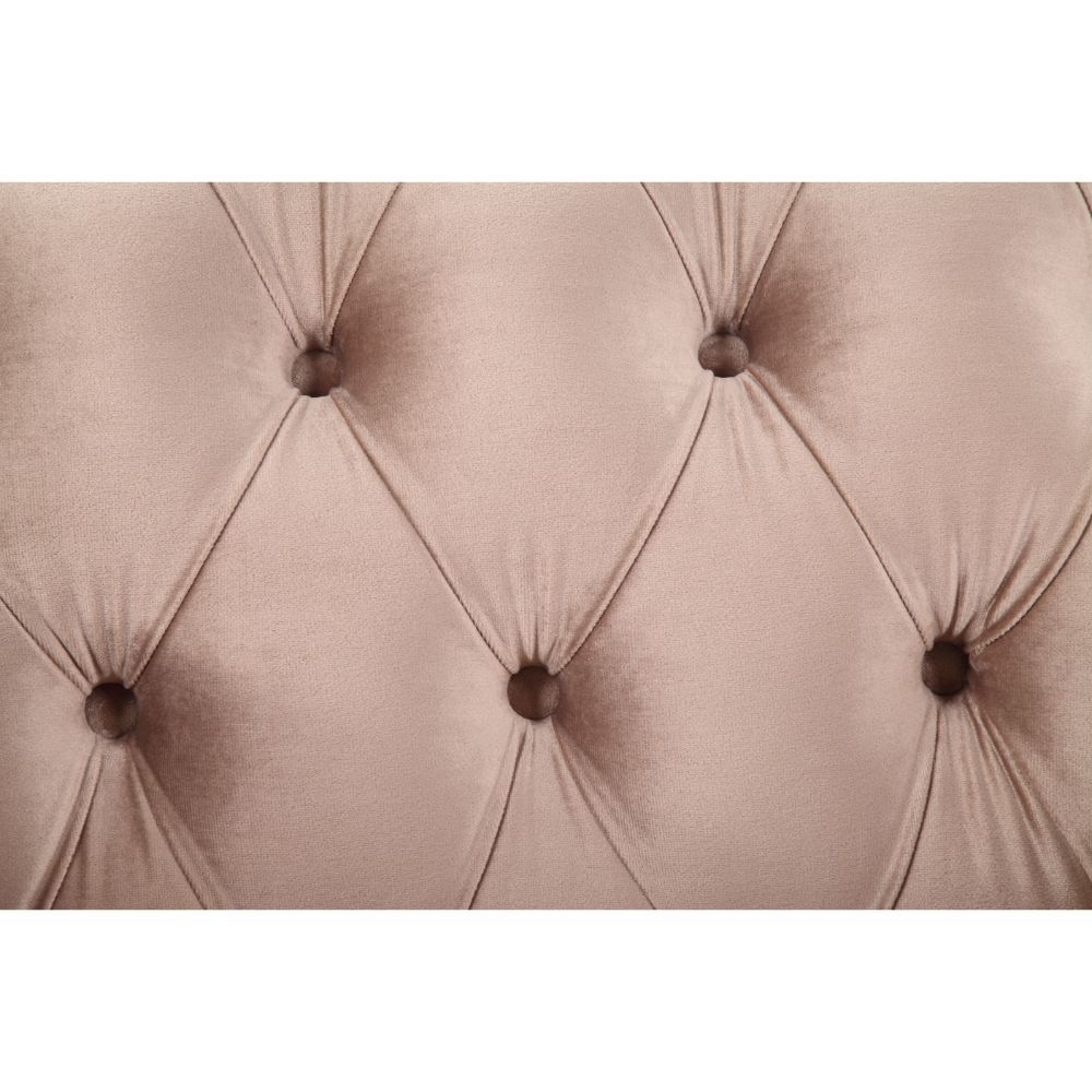 ACME Northville Sofa w/5 Pillows, Velvet & Antique Silver