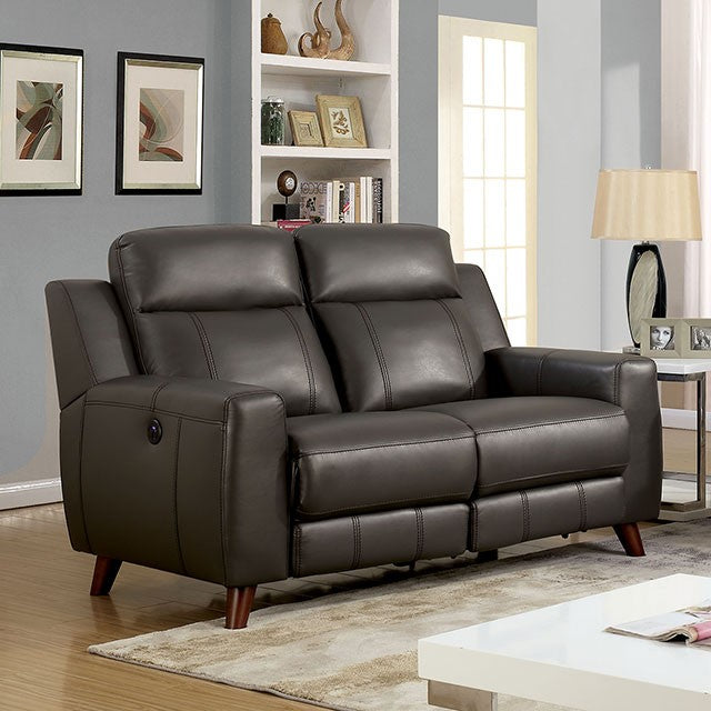 Furniture of America ROSALYNN Recliners & USB Charger Power Motor